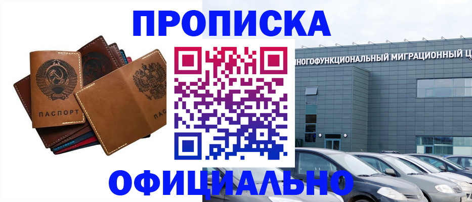 прописка в квартире в Снежногорске